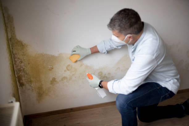 Best Post-Remediation Verification Testing  in Janesville, CA