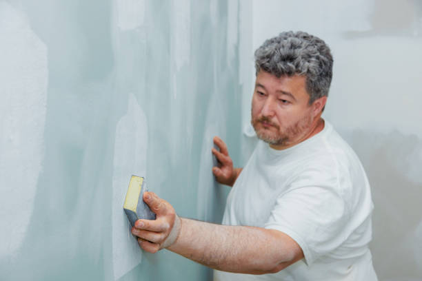 Best Black Mold Removal  in Janesville, CA